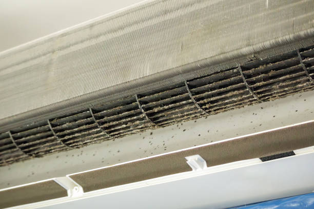 Best Affordable Air Duct Cleaning  in Thousand Oaks, CA